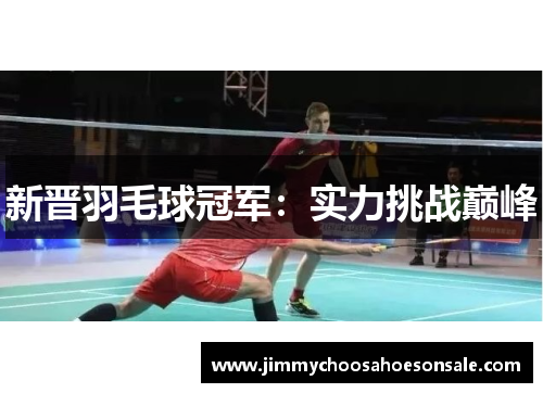 新晋羽毛球冠军：实力挑战巅峰